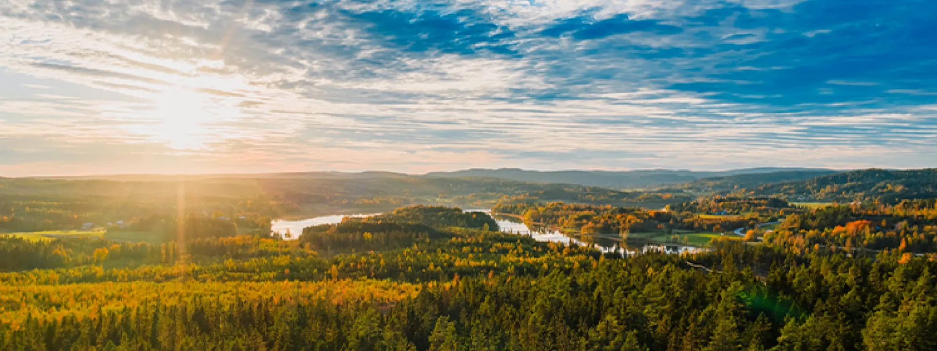 sustainability banner