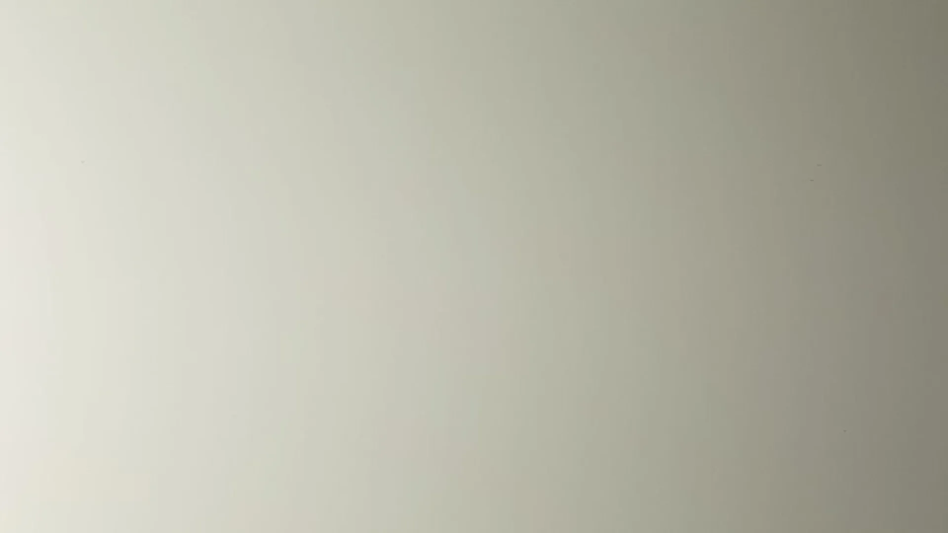 Hairplus - Zinc 4750 -1_jpg_productSliderTopBig