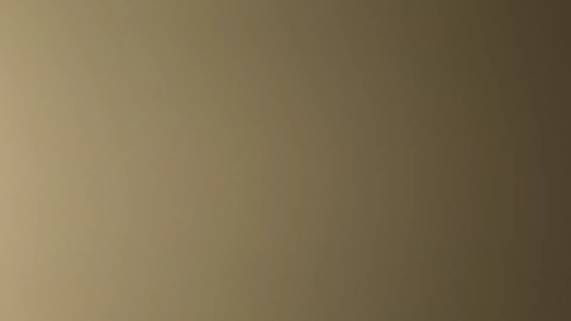 Hairplus - Cacao 7006 - 1_jpg_productSliderTopBig