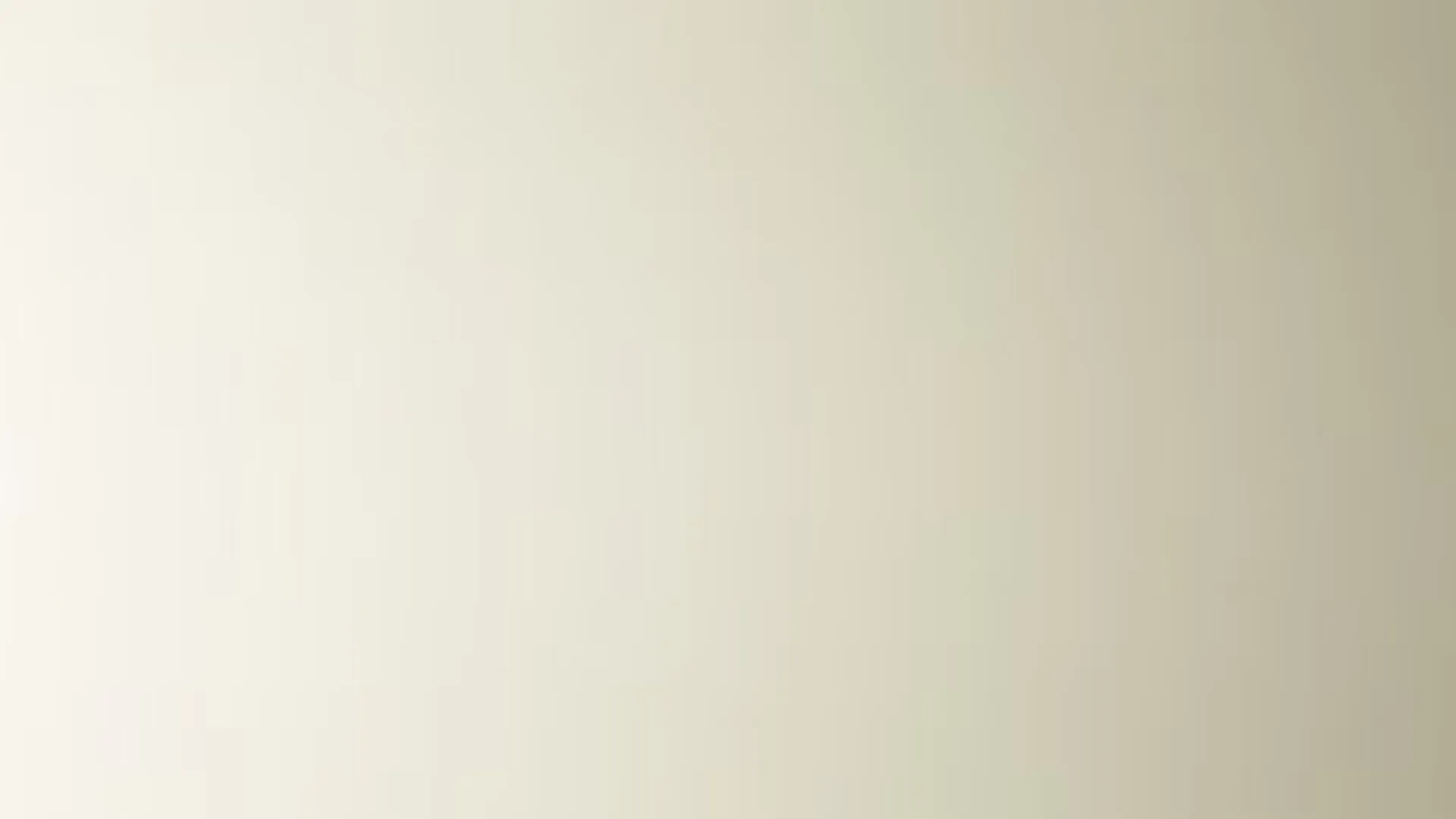 Hairplus - Whitegrey 4902 ral 9002 - 1_jpg_productSliderTopBig