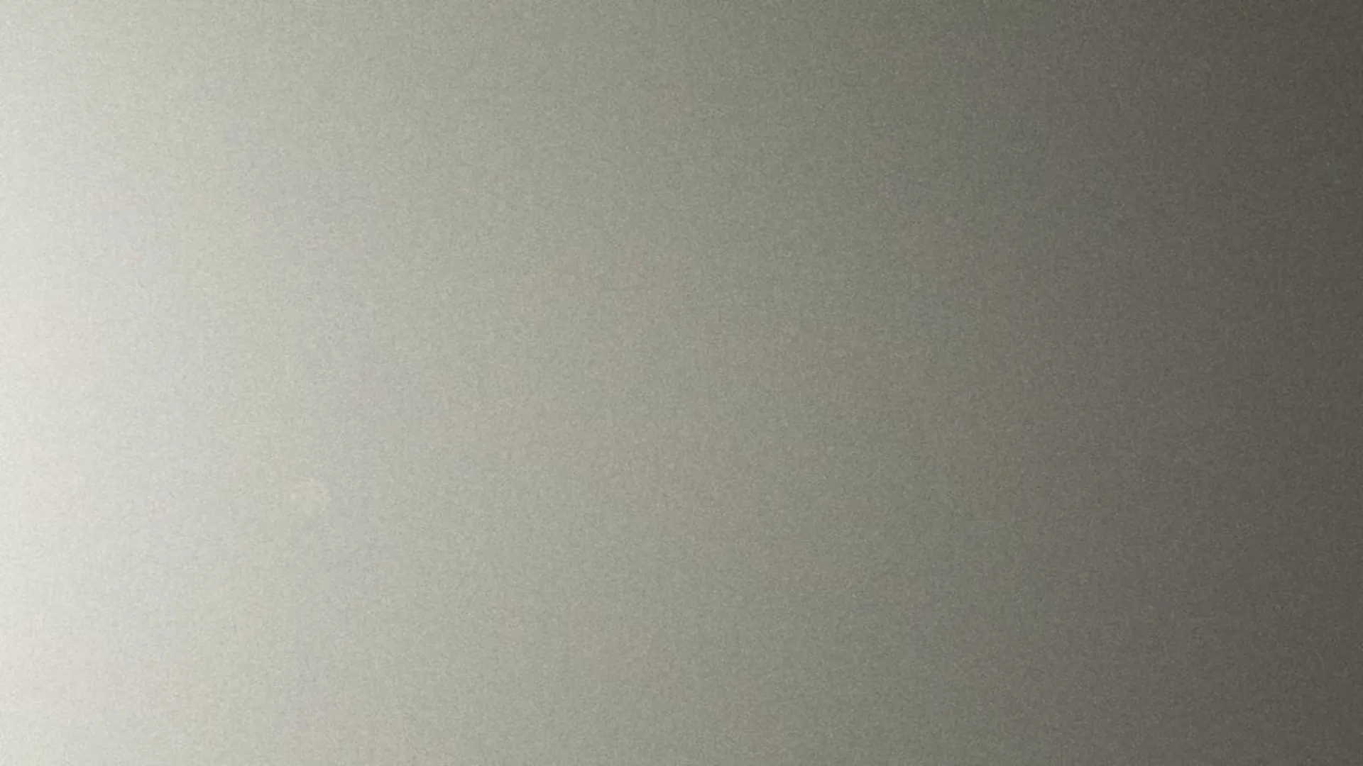 Hairplus - Silver 4930 ral 9006 - 2_jpg_productSliderTopBig