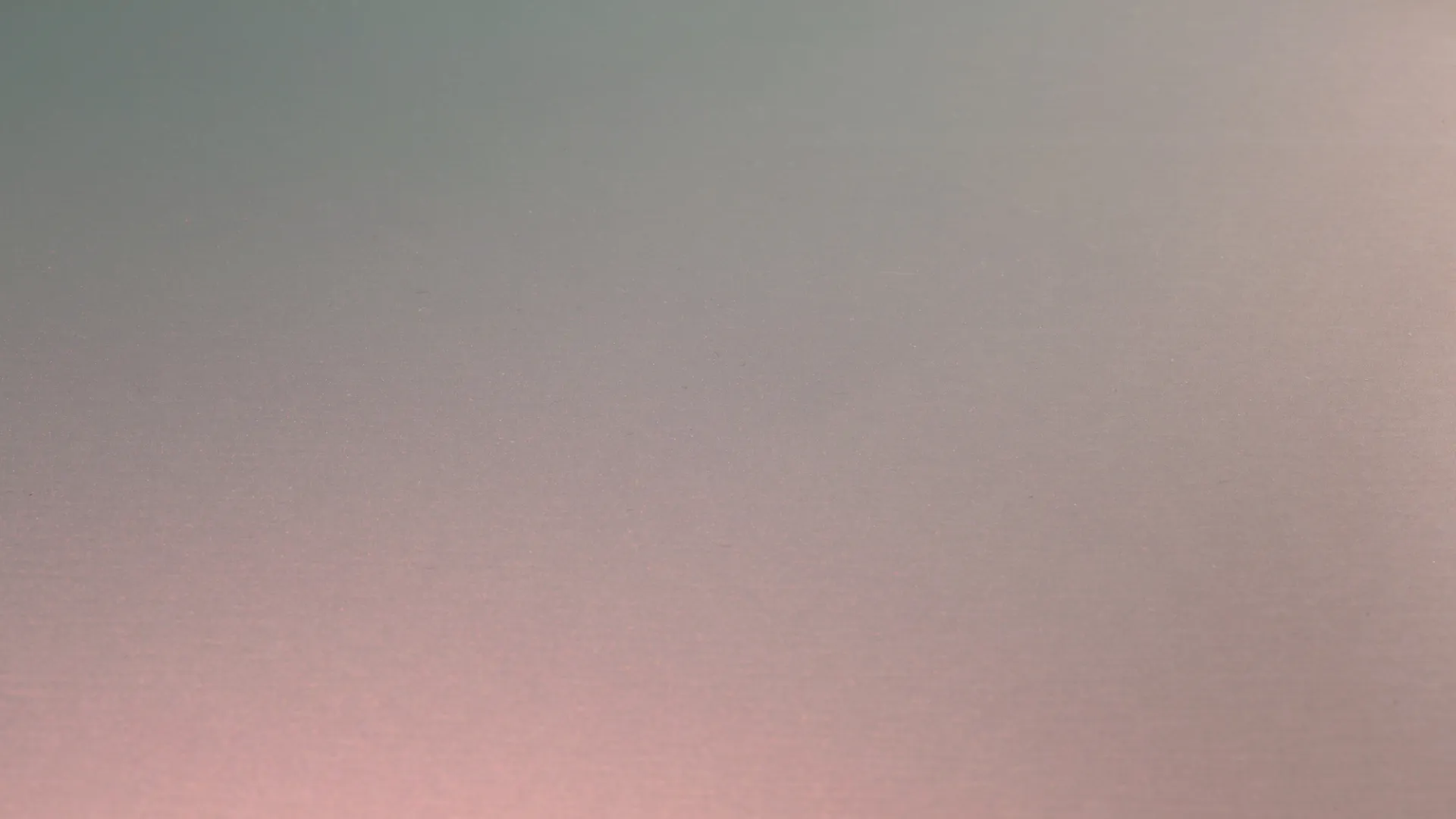 Pearl 60 - Camelia perla 1343 _jpg_productSliderTopBig